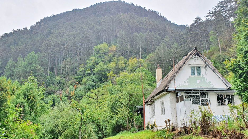 Schei gradina +casa de vacanta,  intre case,front pe trei parti - Poză 1