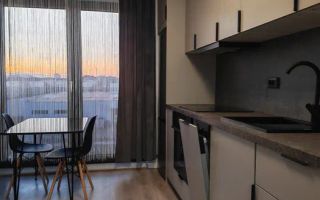 2 camere open space, Modern,Iulius Mall, Prima Inchiriere,Intre Lacuri - Poză 3