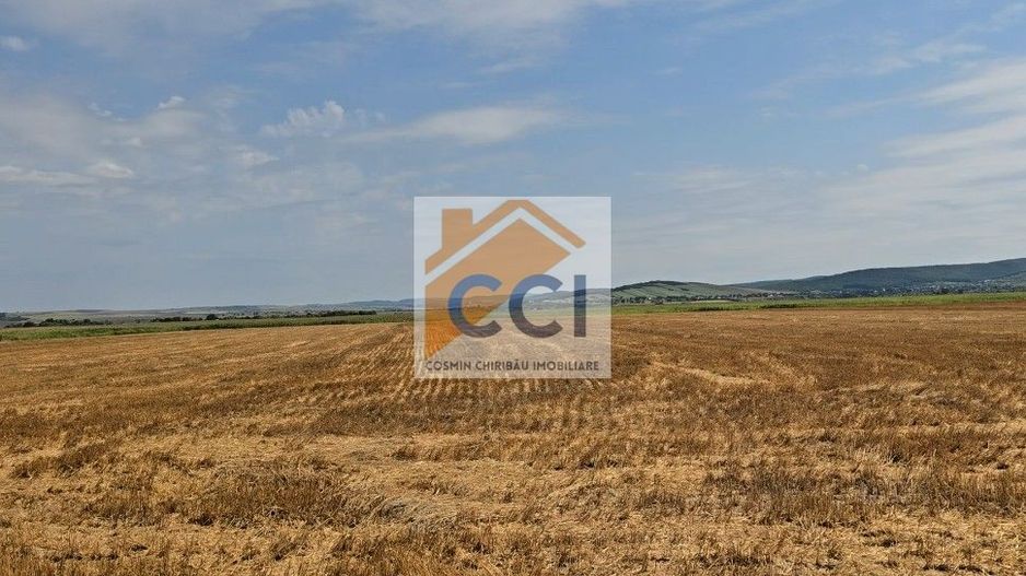 Teren intravilan– 50.000 mp, Bacău, Șoseaua Hol - Poză 9