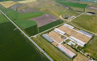 Teren Intravilan Investiții 11.600 mp Salonta - Poză 9