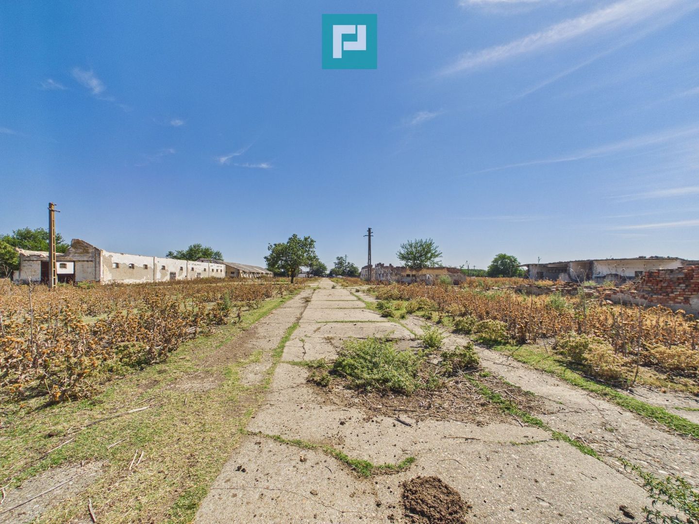 Teren intravilan 146.866 mp de vânzare | Jimbolia - Poză 15