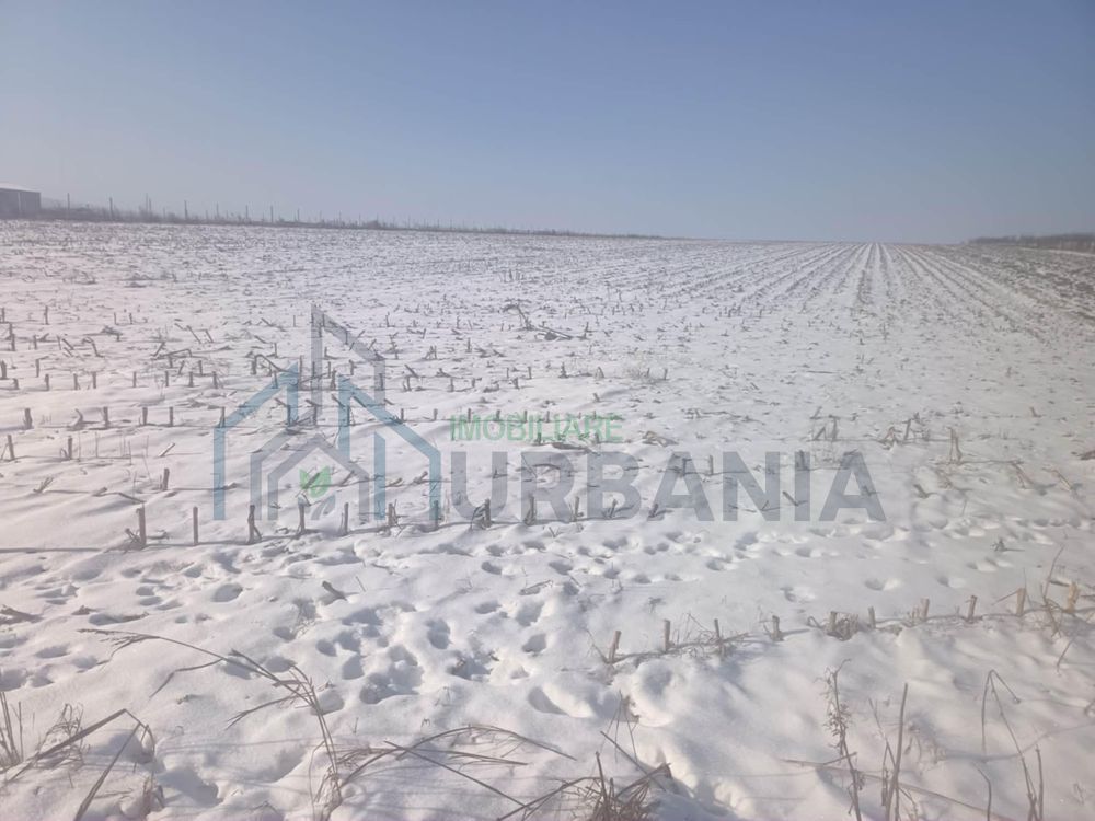 Teren intravilan și extravilan de 10.000 mp în Voinesti, Iași - Poză 4