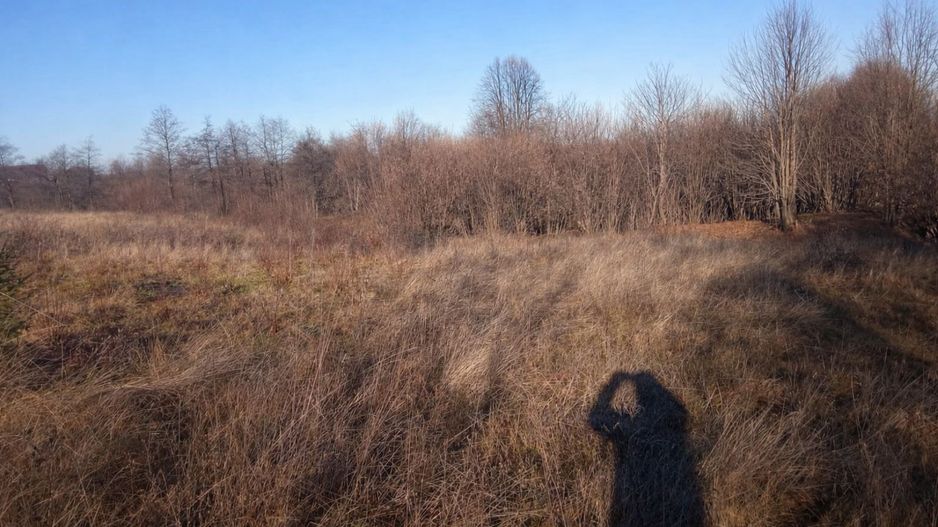 Teren extravilan | Vicovu de Jos | Preț 27.000 | Negociabil - Poză 2