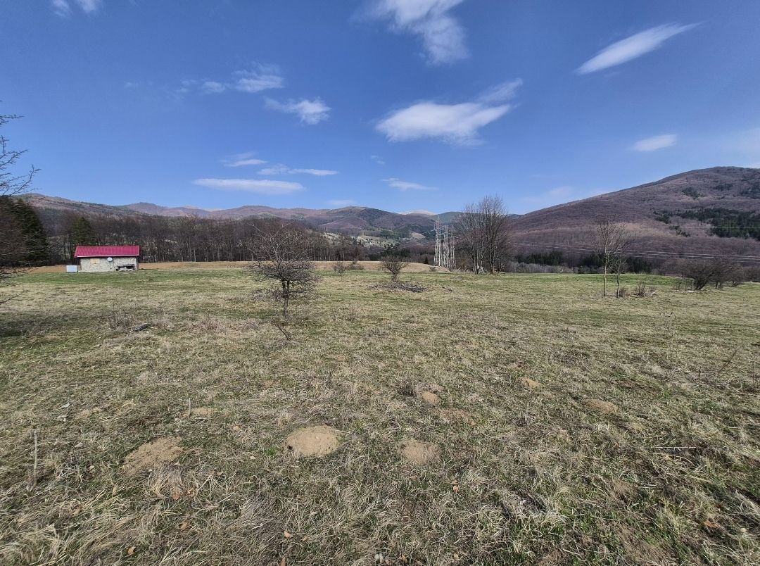 Teren intravilan la baza pădurii Valea Doftanei sat Traisteni (poduri) - Poză 1