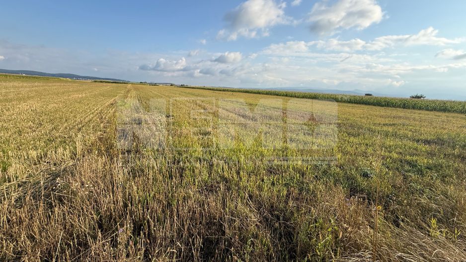 Teren extravilan de vânzare | Horodnic de Sus | 45 Ari - Poză 4