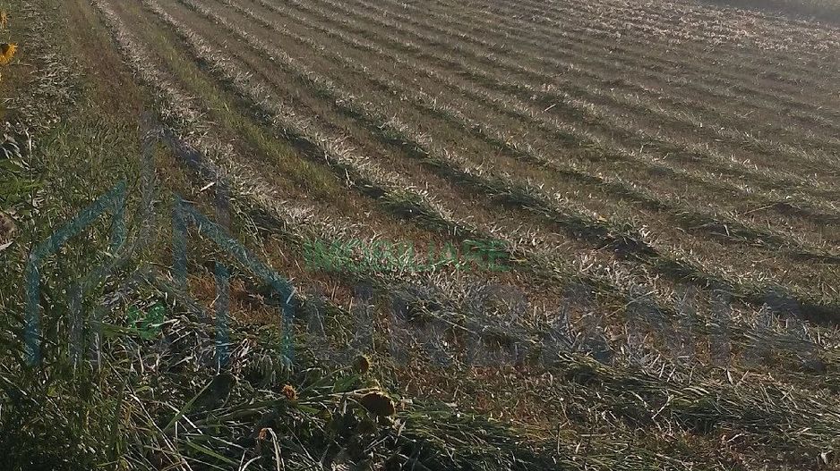 Teren extravilan de vânzare în Vânători, comuna Popricani - Poză 6