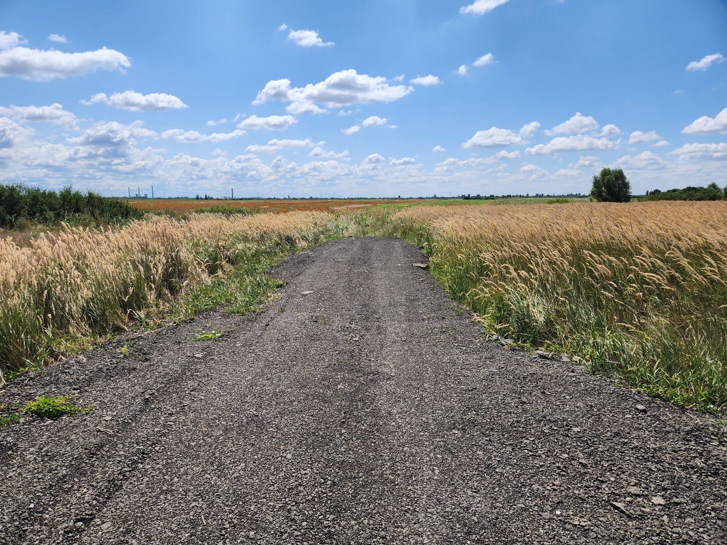 PUZ rezidential /servicii de vanzare Sacalaz - Poză 9