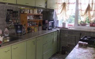 Apartament 3 camere semidecomandat de vanzare in zona Camil Ressu - Poză 2