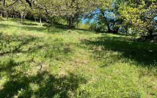 Teren intravilan 650- 669 mp de vânzare – Strada Dâmbului Bistrita - Poză 2