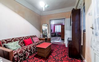 Casă + livadă tânără + curte 2.500 mp în Dorobanți - Poză 10