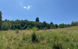 Teren intravilan 4600mp - 55 EUR/mp - EXCLUSIVITATE CISNADIOARA - COMISION 0% - Poză 7