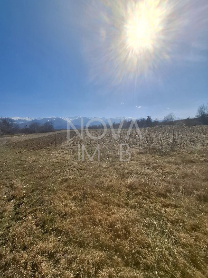 Teren extravilan de vanzare - Arpasul de Sus - Poză 7