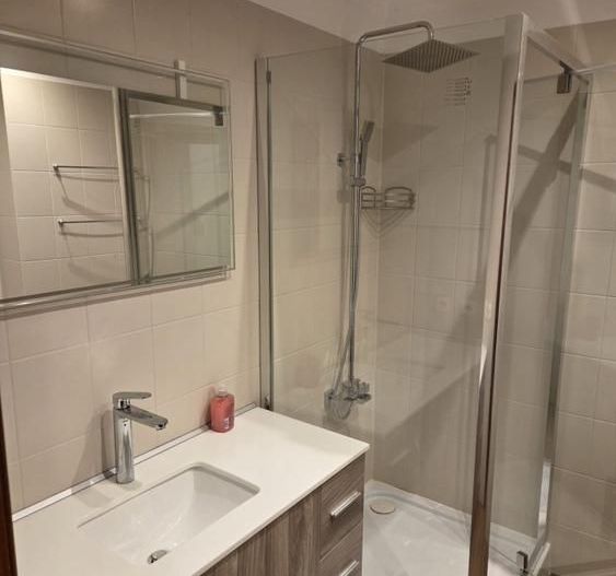 Ap 3 camere Primaverii vedere Herastrau - Poză 3