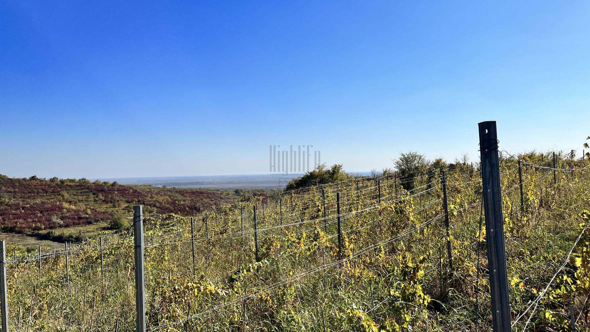 14Ha podgorie, livada pomi fructiferi, si conac 3000mp - Poză 2