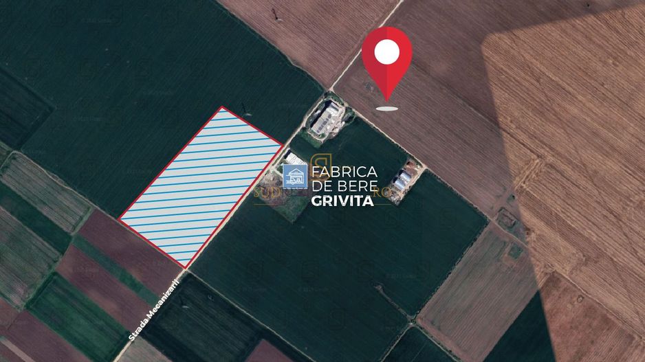 Teren extravilan 78.657 mp, deschidere de 480 ml, Popesti-Leordeni, If - Poză 3