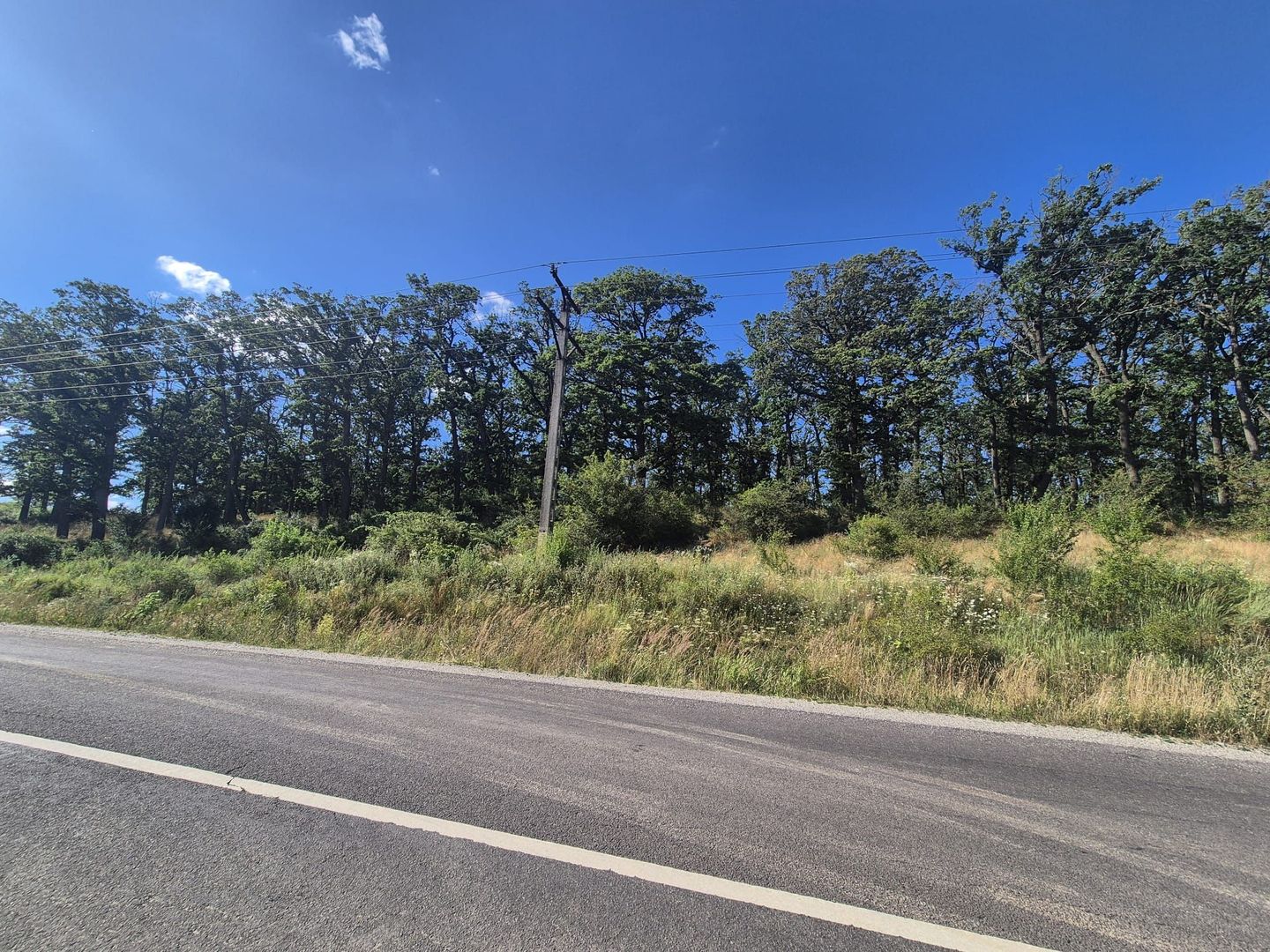 Casă cu grădină în Dumbrăvița – la doar 25 km de Brașov - Poză 21