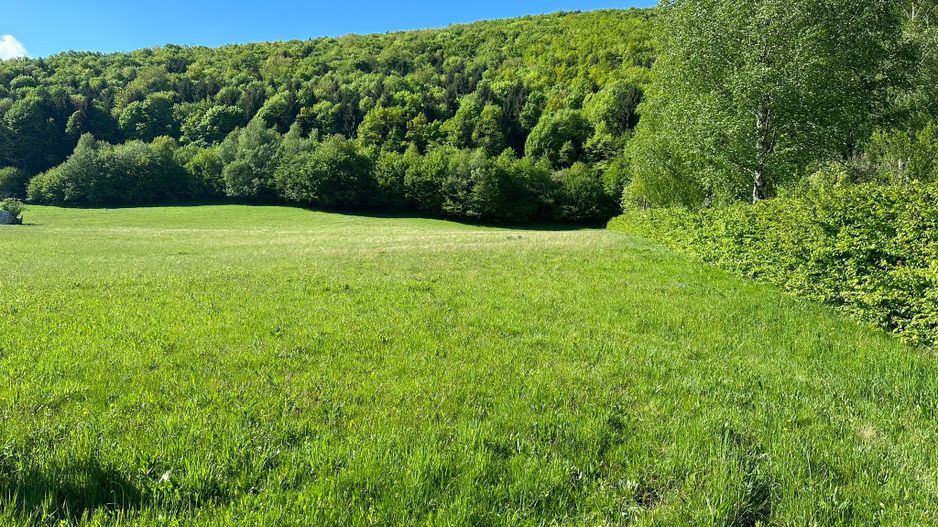 Teren Intravilan in Tocile-priveliste deosebita - Sadu - Sibiu - Poză 2