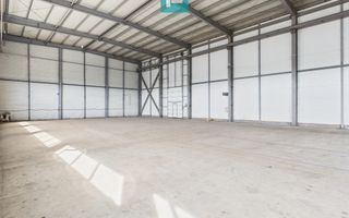 Hală industrială cu pod rulant de 3 tone în Arad - Poză 1