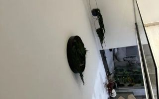 Casă modernă, garaj și curte amenajată – Șelimbăr - Poză 6