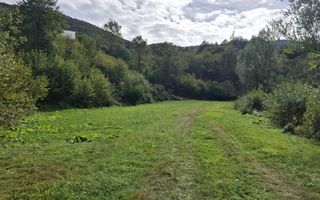 Teren Intravilan de Vânzare – 4000 mp – Râu Sadului - Poză 7