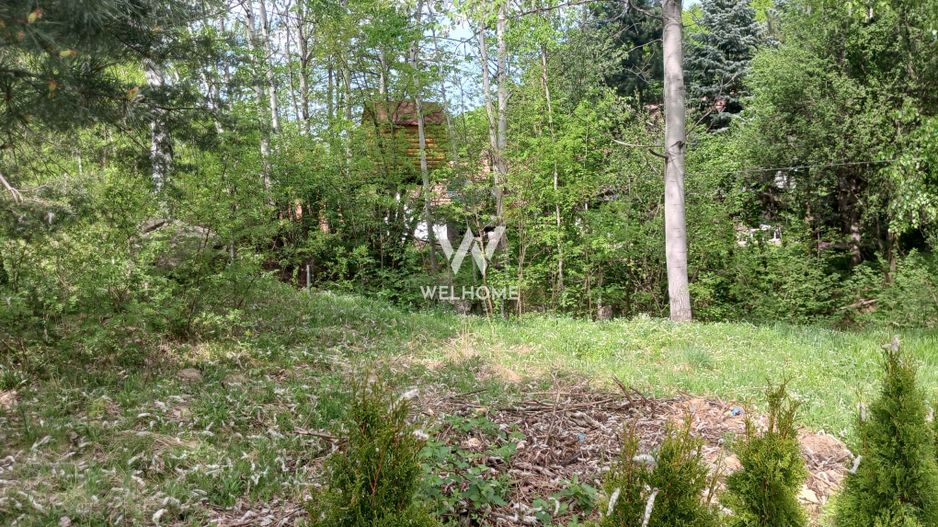 Teren Extravilan situat la intersectia DN1 cu Transfagarasan - Poză 6