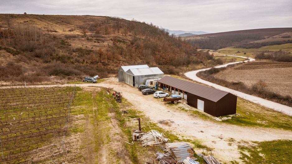 Vie de 115 Hectare în satul Dud, județul Arad - Poză 8