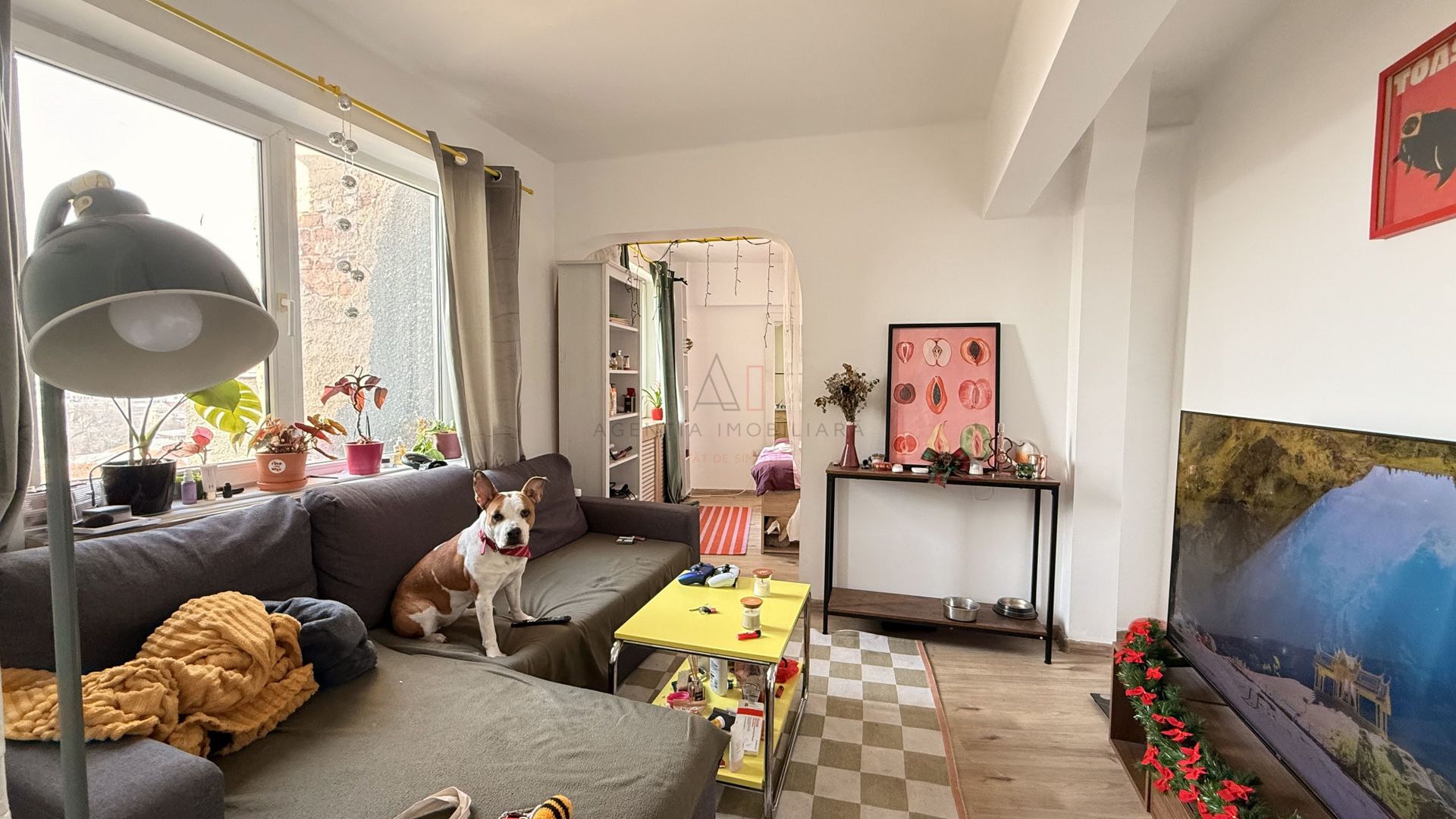 Studio Dublu Cismigiu | FARA RISC - Poză 1