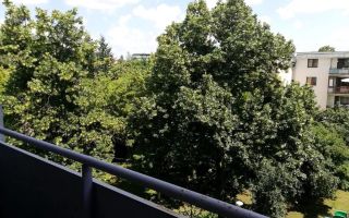 2 camere, Zona Kaufland, Lidl, Detunata, Gheorgheni - Poză 8