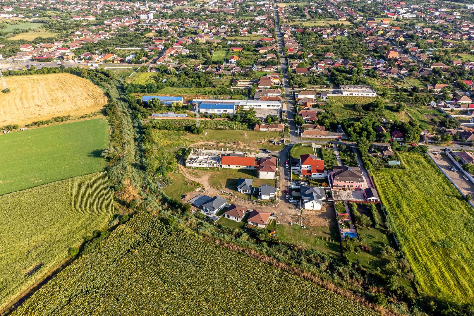 Finberg Residence Arad - Poză 2