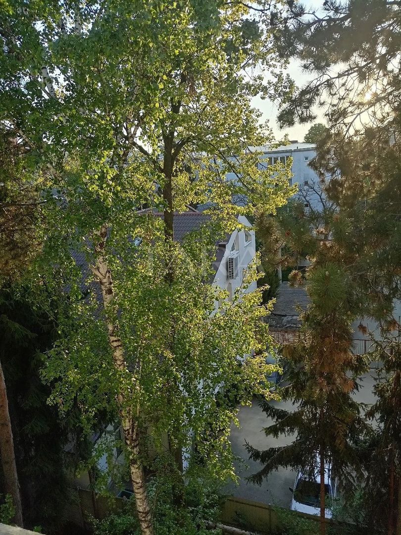 Apartament 3 camere, Mănăștur, zona Grigore Alexandrescu. - Poză 5