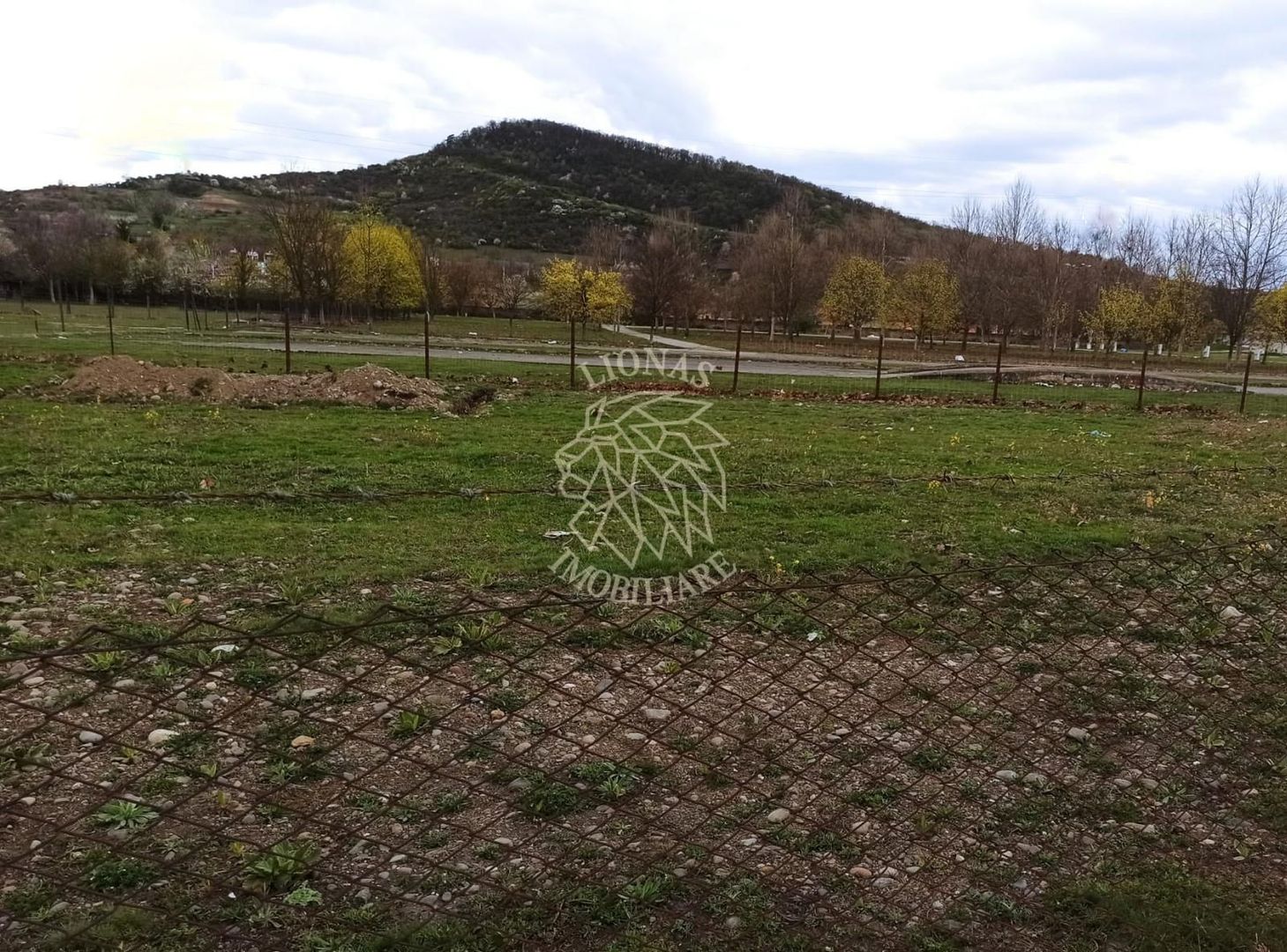 Teren intravilan 1000 mp-ideal locuinte P+4/Hala/Institutii-Viisoara - Poză 2