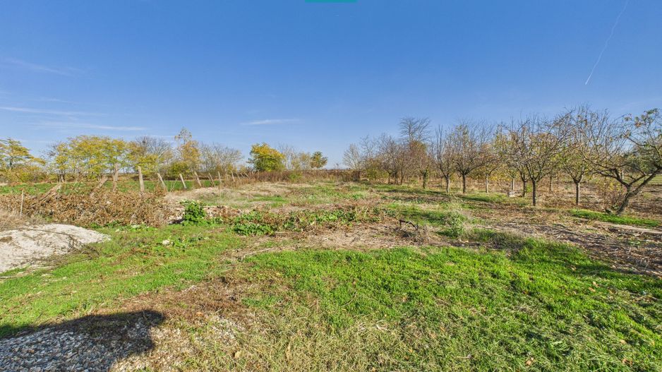 Proprietate impresionantă de vânzare in Nădab - Poză 30