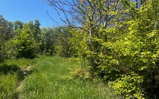 Teren intravilan/934 mp/Lenin Sud - Poză 1