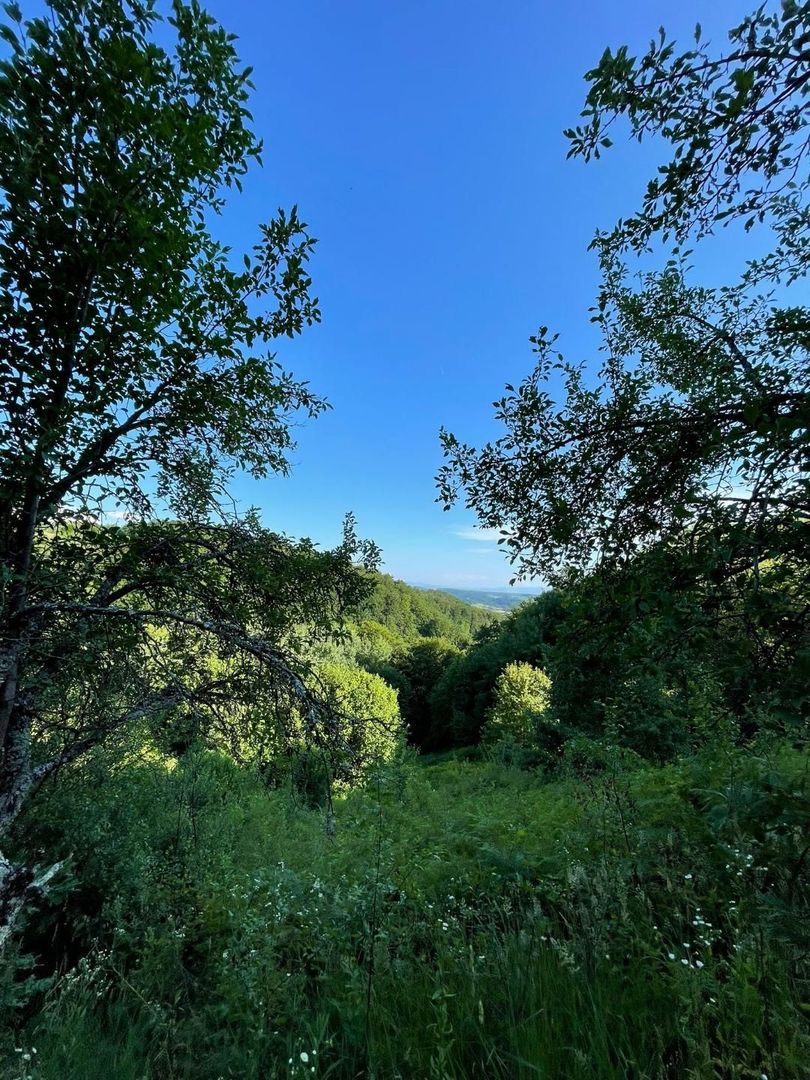 Teren zona turistica Rosia - Poză 3