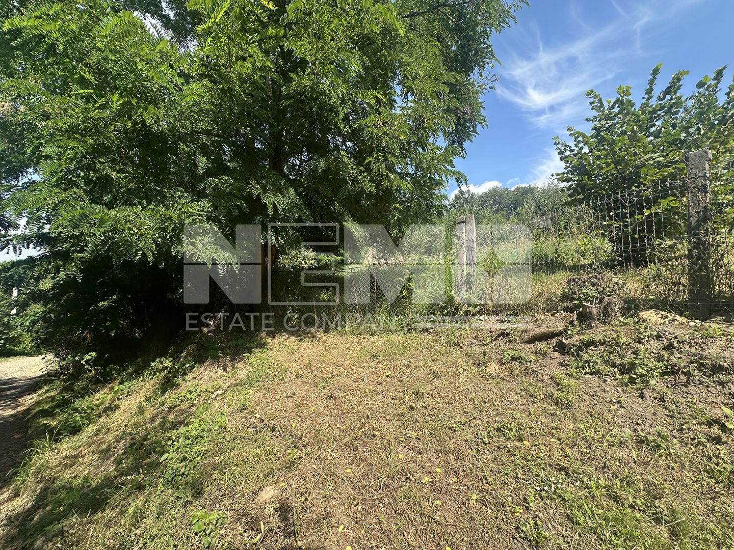 Teren Darmanesti | 41 Ari | 26.500EURO - Poză 2