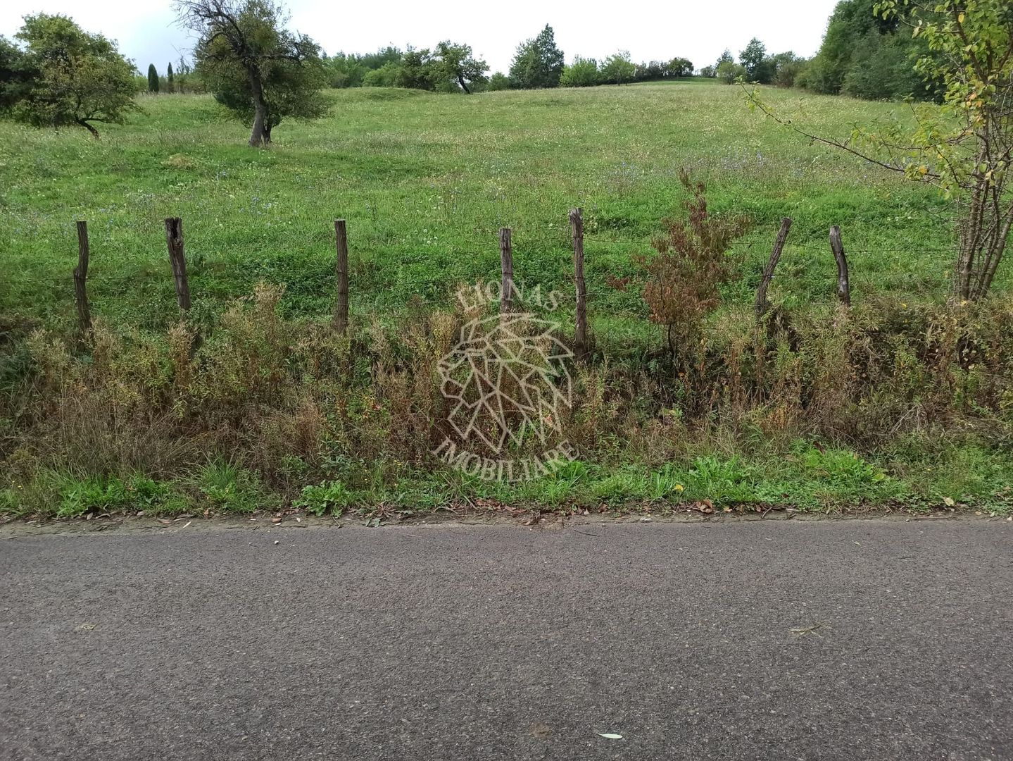 Teren intravilan 12600 mp-utilitati-ideal case, investitie-Livezile - Poză 1