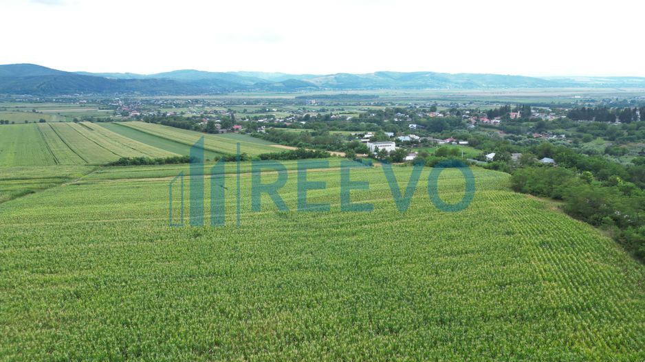 Teren de 3.600 mp Racova - Poză 7