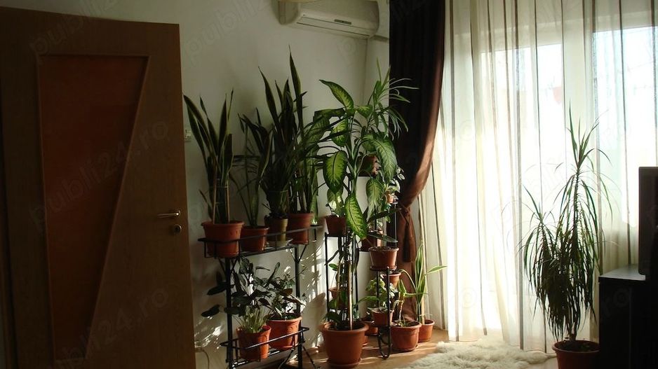 Închiriere 🏡 Apartament 2 camere, 52 mp, decomandat, lângă McDonald’s Dristor - Poză 3