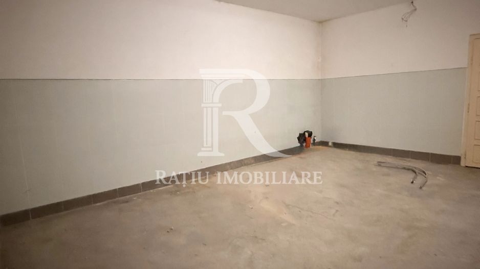Casă cu Hală Industrială | Teren 3.200 mp | Ineu | Bihor - Poză 14