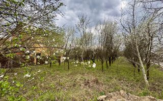 Teren intravilan | 800 mp | zona Mărul de Aur | prestabil investiție - Poză 1