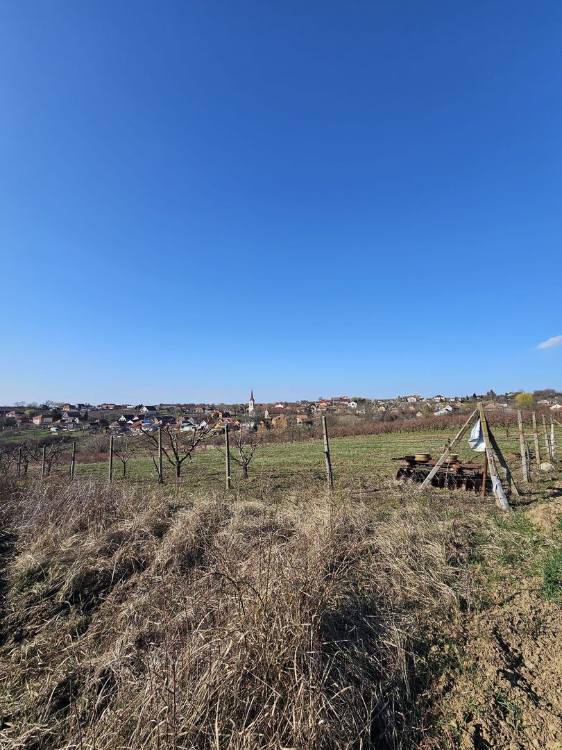 Teren intravilan Saldabagiu de Munte 850 mp - Poză 2