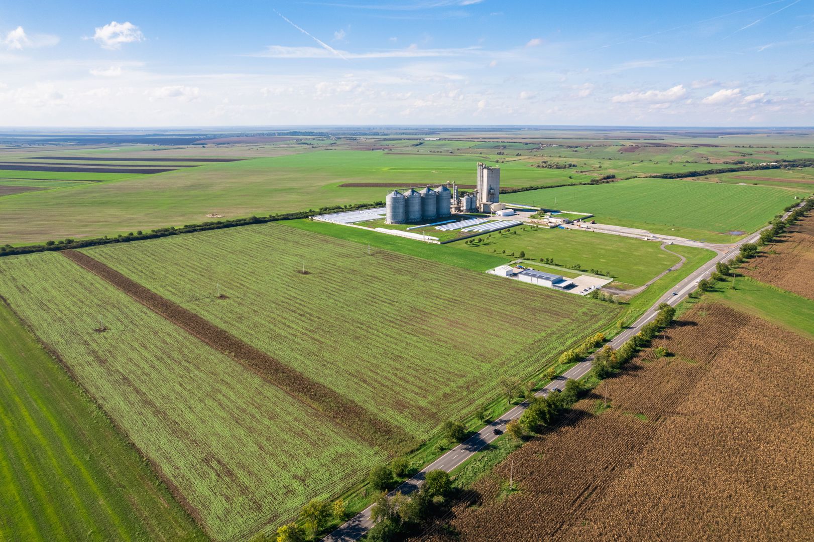 Teren de 104000 mp în Vinga - Poză 3