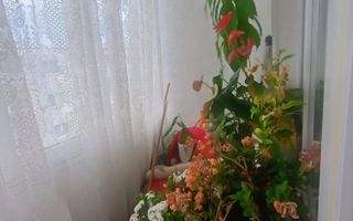 Apartament doua camere Gherla central strada Mesteacanului - Poză 5