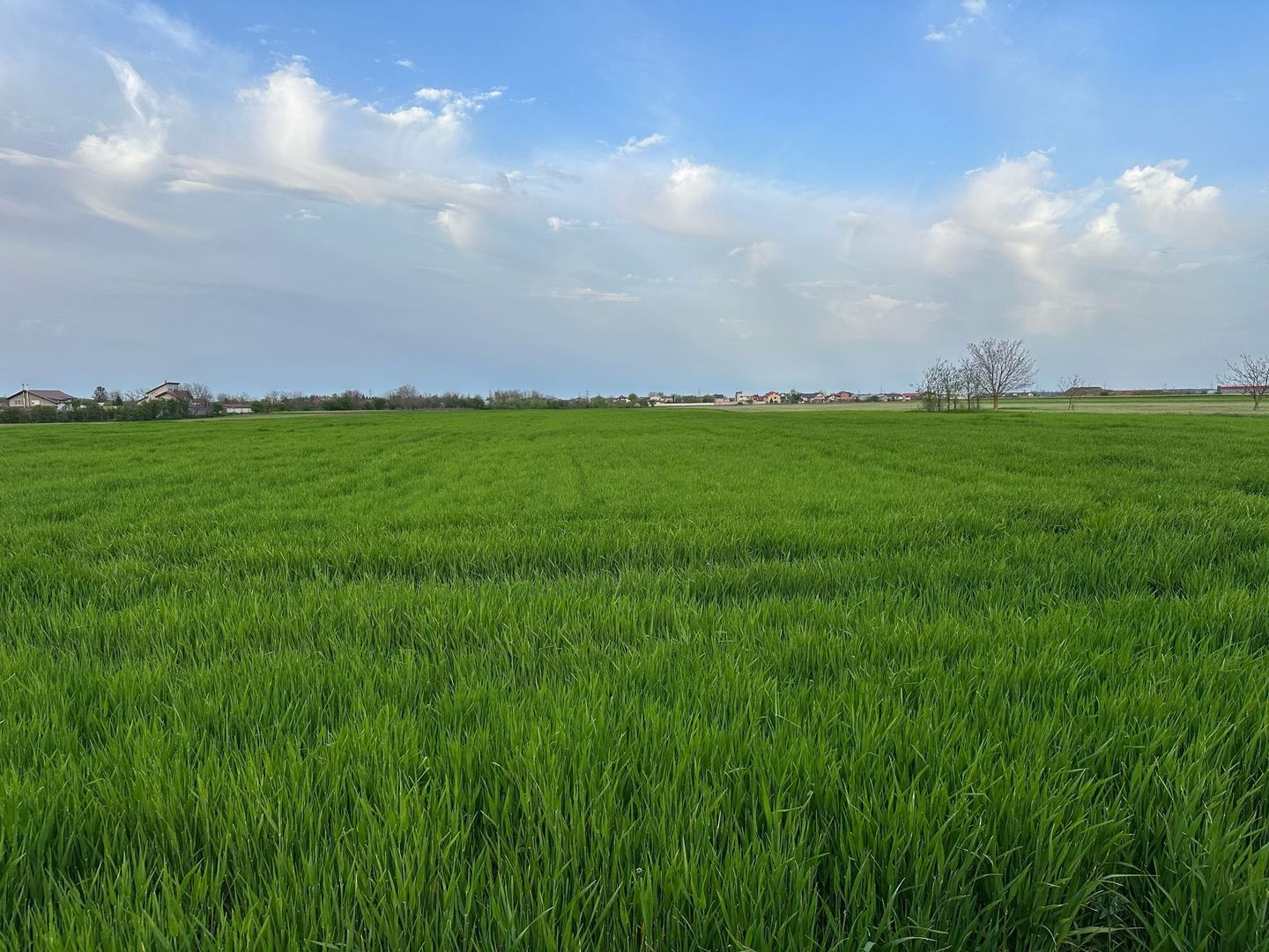 Teren intravilan cu destinatie rezidentiala 7.458 mp Balotesti - Poză 6