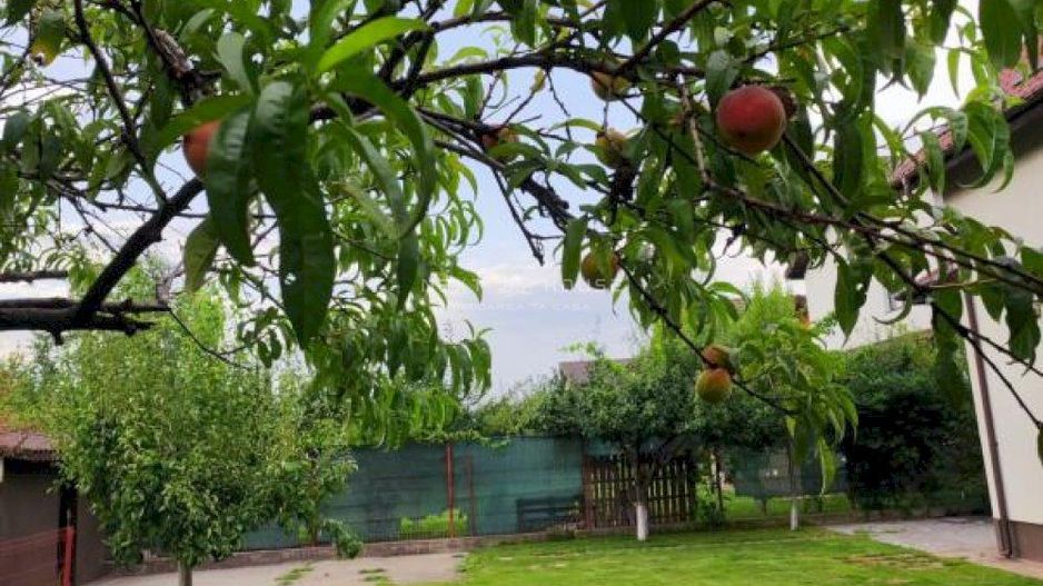 Casa 3 camere Domnesti - Poză 16