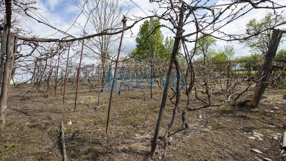 Casă de vânzare în Blăgești, Bacău - Poză 32