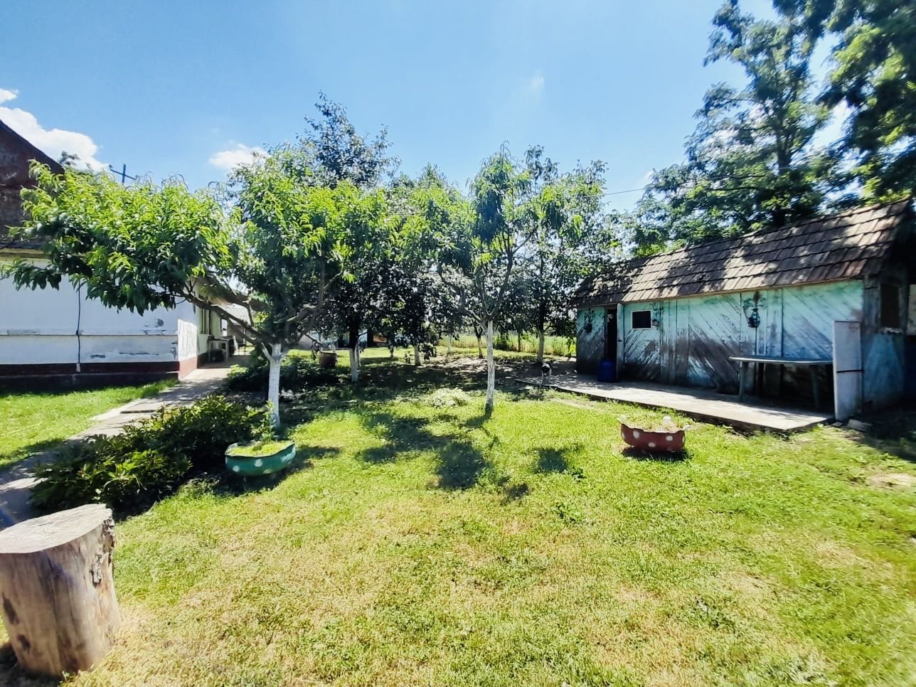Casă + 2870 mp teren – oportunitate Ciocaia - Poză 6