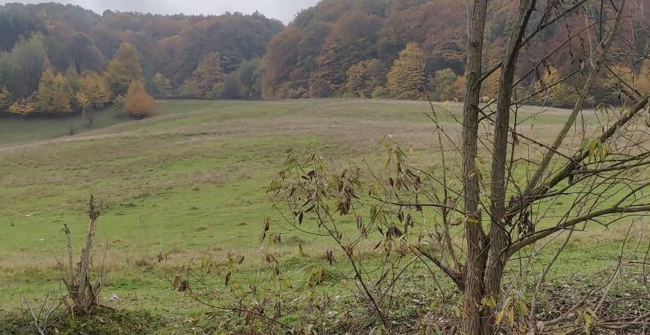 teren Luncani Margineni - Poză 1