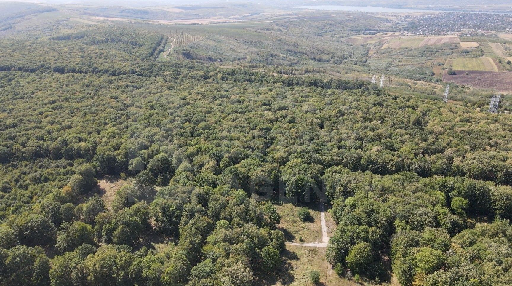 Vânzare, teren pentru construcție, 9.21 ha, Micăuți, Sireț - Poză 7