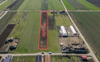 Teren 3.600 mp în Curtici, 2 fronturi stradale – La doar 20 km de Arad - Poză 1